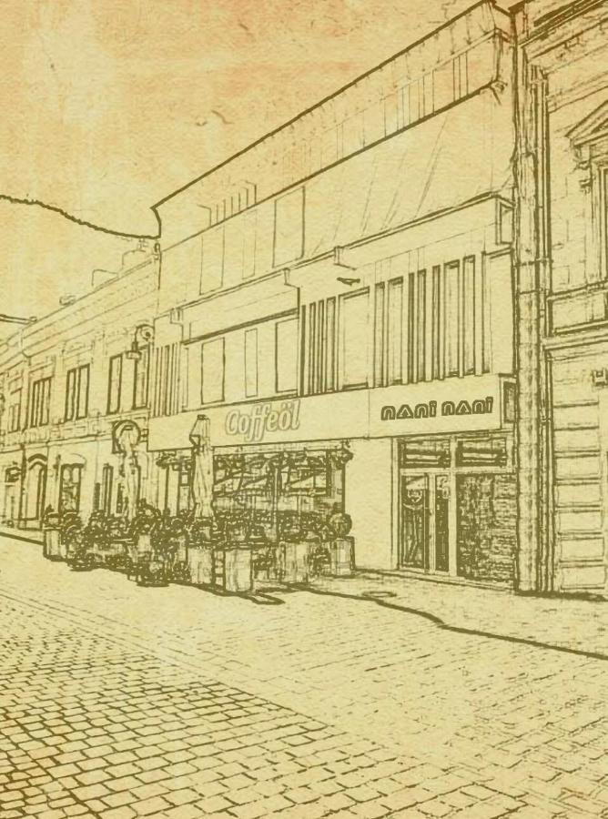 Nani Nani Boutique Hotel Brasov Exterior photo